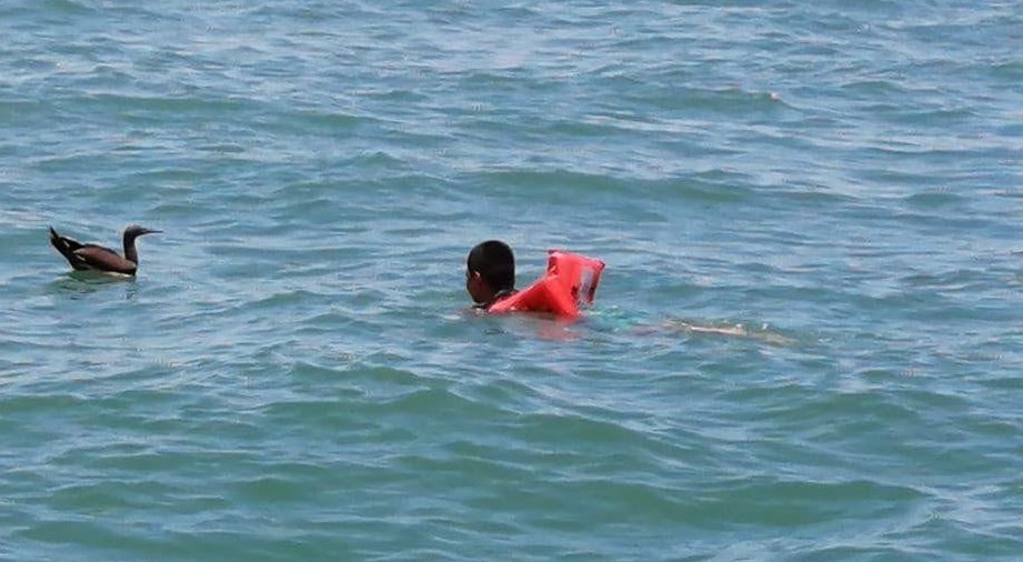 Snorkel en Isla del Caño